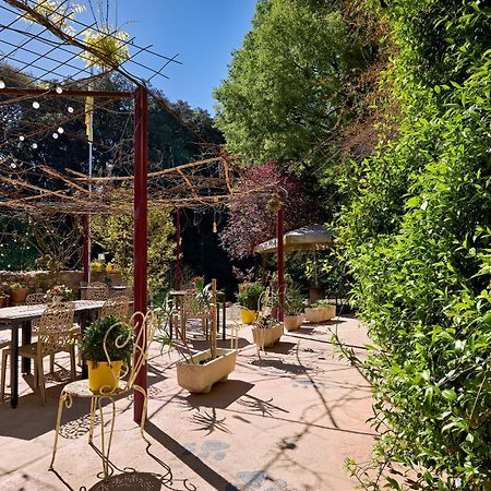 B&B Mas Torrencito Pet Friendly Parets de Ampurdá Exterior foto