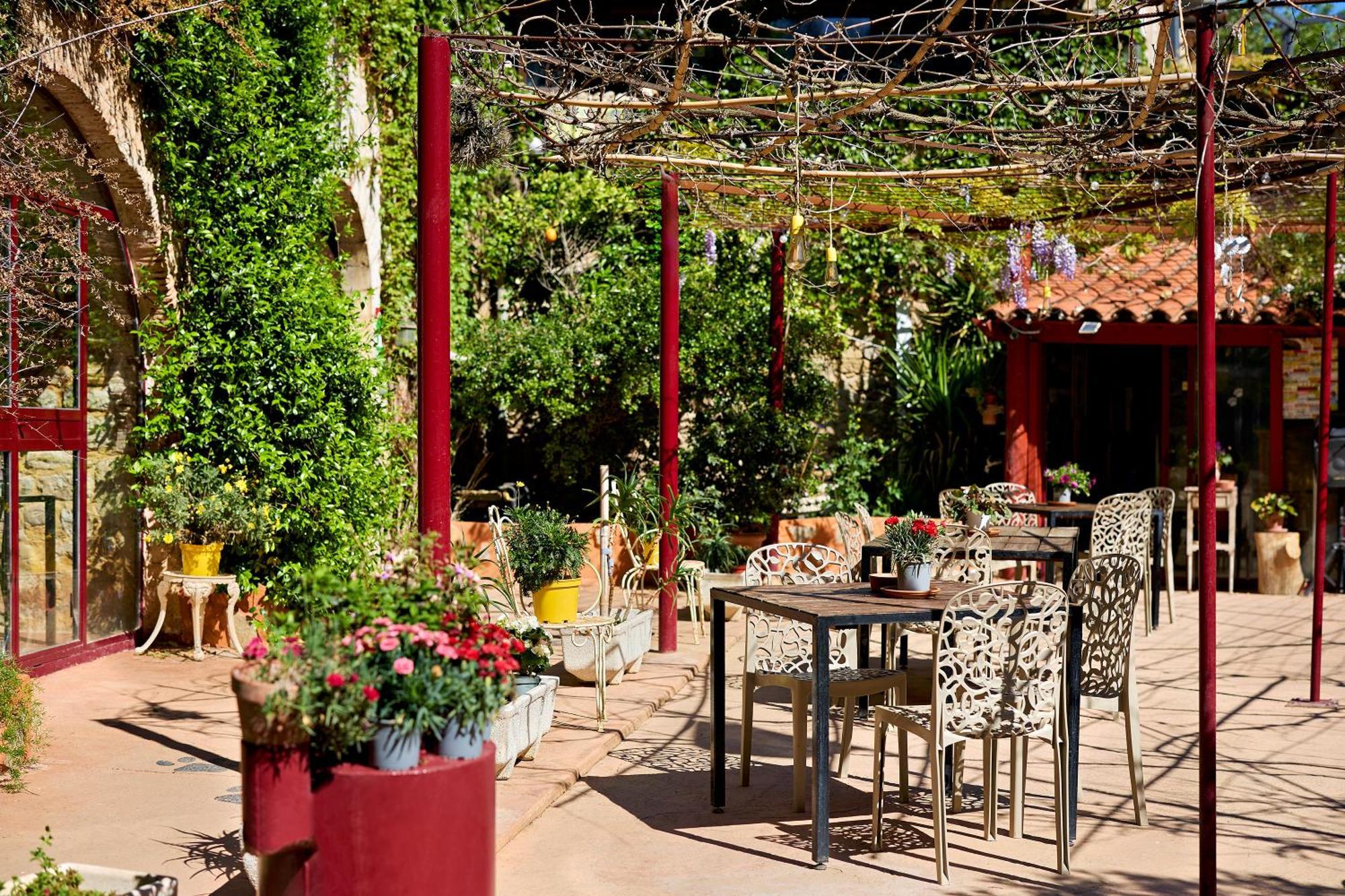 B&B Mas Torrencito Pet Friendly Parets de Ampurdá Exterior foto